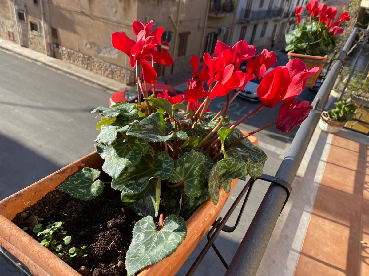 Apartment In The Center Terrasini Bagian luar foto